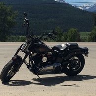 2010 Harley-Davidson Cross Bones