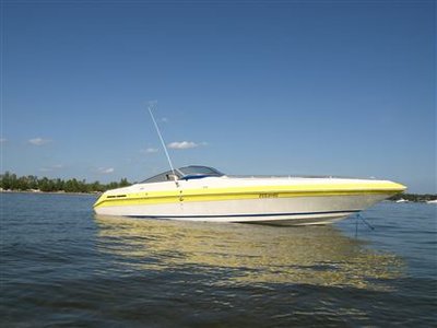 1989 Sea Ray Pachanga Mercruiser