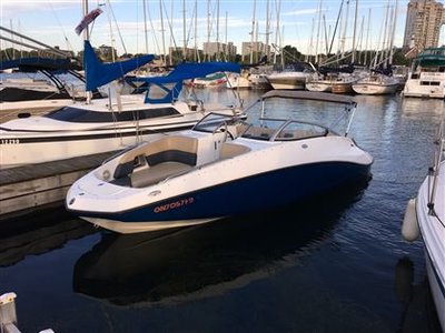 2007 Sea-Doo/BRP challenger  230