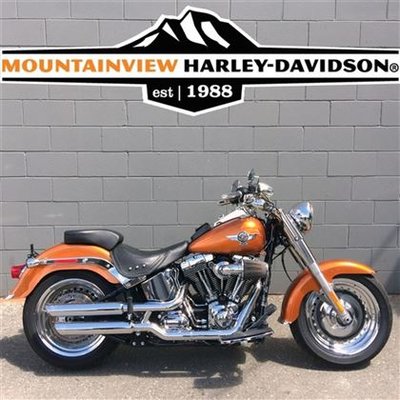 2014 Harley-Davidson FLSTF Fat Boy