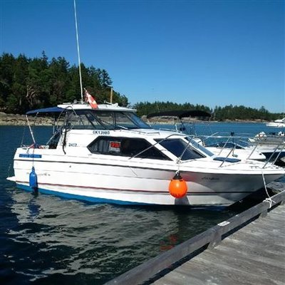 1993 Bayliner Marine Corp 2452 BLUE/RED