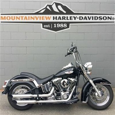 2010 Harley-Davidson FLSTN Softail Deluxe