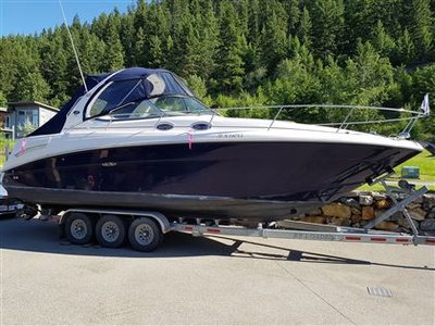 2005 Sea Ray Sundancer blue and white